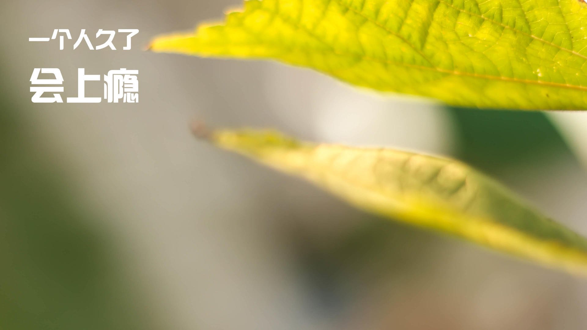 爱游戏电竞官网-2025年中国青少年篮球推广计划正式启动，青少年篮球赛事推广