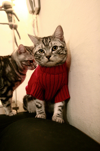 爱游戏官方网站-_热火队铁血防守，锁定重要比赛胜局_，热火队伍