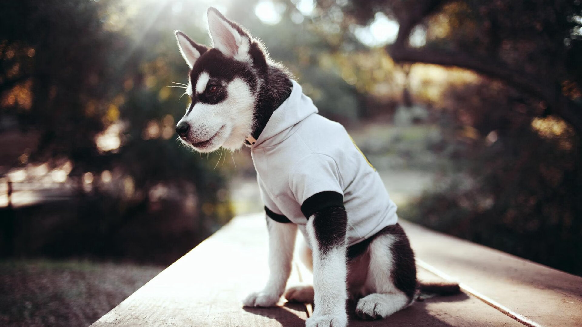 《Dota 2传奇归来，华丽逆转赢得最高荣耀》，dota2传奇厉害吗